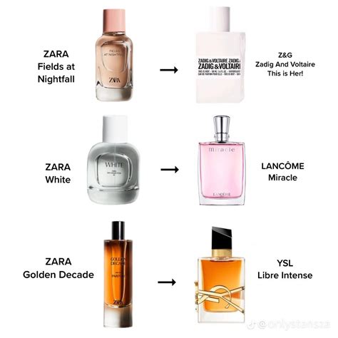 ysl dupe zara perfume|zara designer perfume dupes.